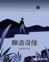 第一夫人txt