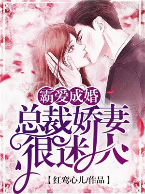 宝贝回家电视剧