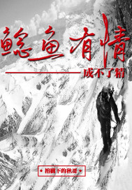 196.168.01登录网址