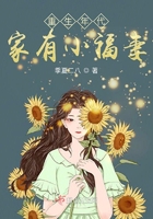 swf 播放器