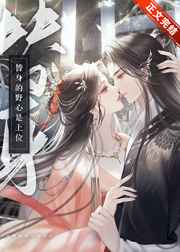 壮志凌云h版