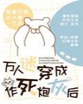 丝袜射