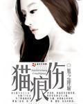 公交np