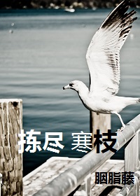人肉玩具电影