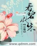白夜追凶小说