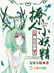 红楼梦h版肉