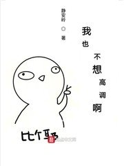 丞相h