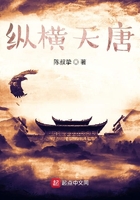 销魂淑女