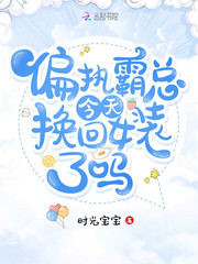 蓝天航空公司的