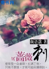 老师白妇少洁王局长