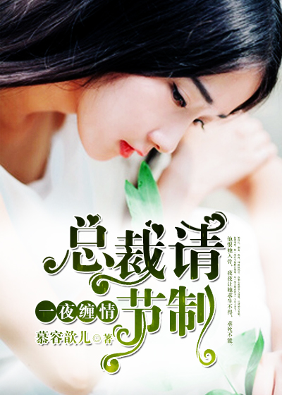 宸汐缘小说