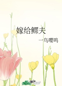 海龟汤题目和答案全套