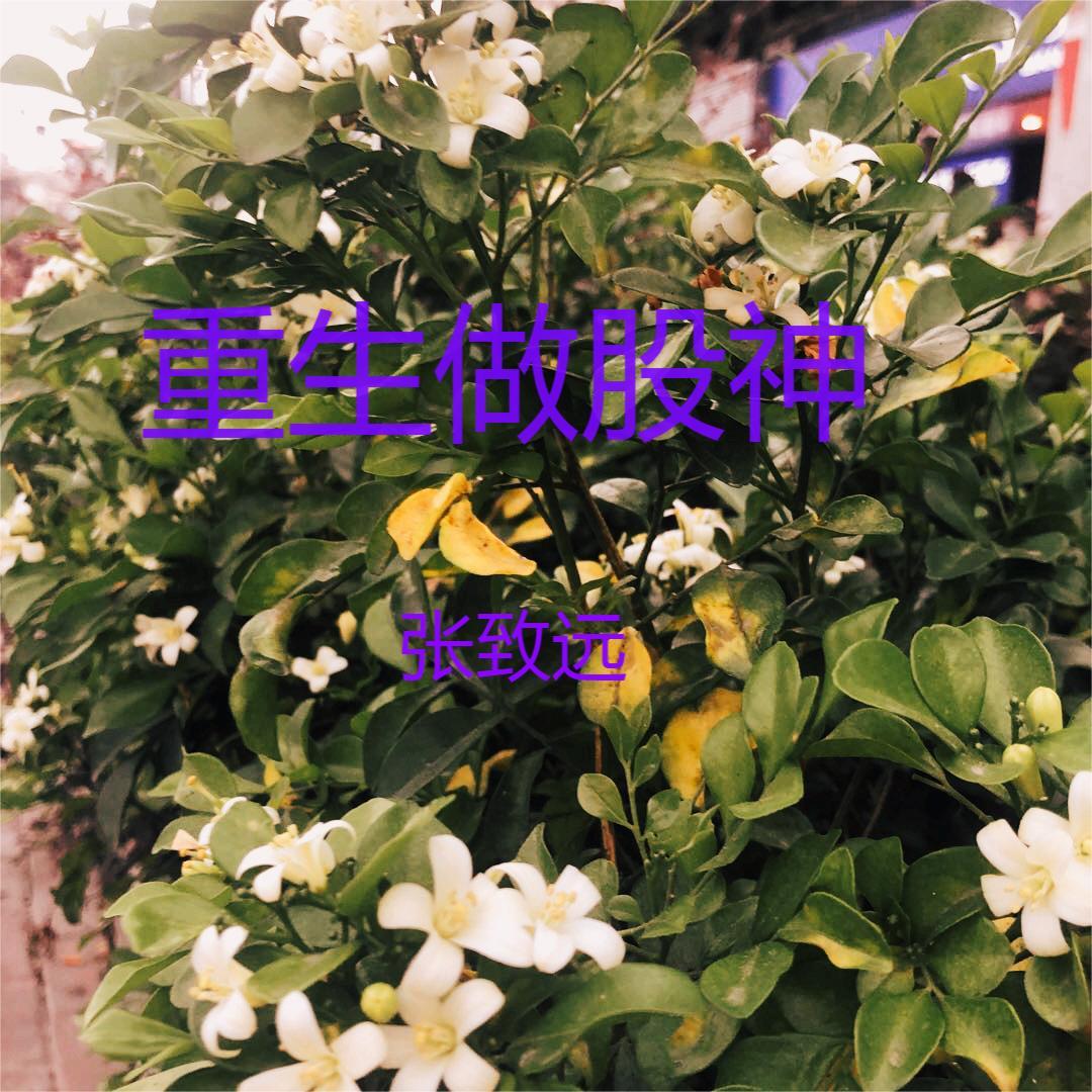 全城戒备