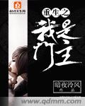 梦奇皮肤