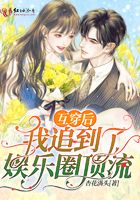 孤胆保镖