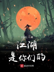 免费hs网站