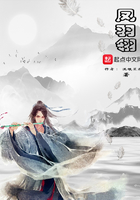 雪中悍刀行番外篇全