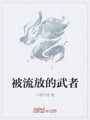 国产va视频高清