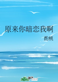 桌球上的艳遇未删除版在线播放