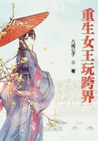 武工队传奇第二部40集免费观看