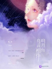 93版包青天电视剧免费看