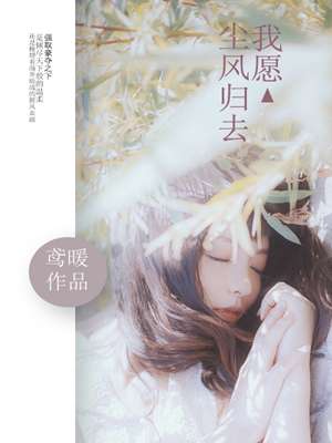顾漫的小说