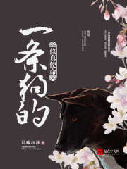抗日之兵魂传说txt下载