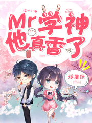 县委书记电视剧