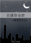 Flash Player 播放器