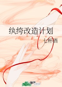 市长夫人宋姐全文