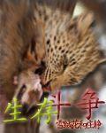 小v影视在线观看