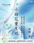 国产精品办公室沙发