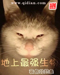 奇门鬼谷
