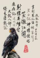 拍的不错