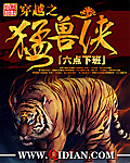 内衣办公室手机在线观看