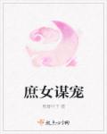 人生如梦小说主角叶天明免费阅读下载