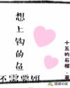 陆婷婷的新故事续集