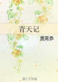 宸汐缘txt下载