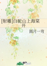 洞房艳史电影在线观看