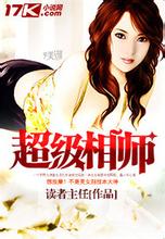 ipad电池容量
