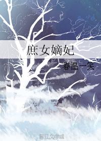 丽图100