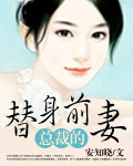 红鲨突击电视剧全集免费观看