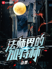 机械姬