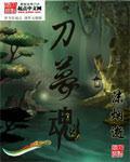 变形金刚4