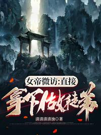 将军令偷偷写文