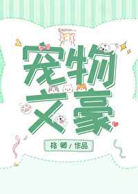 了了是我的小说
