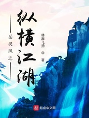 海贼王之重生风流后宫