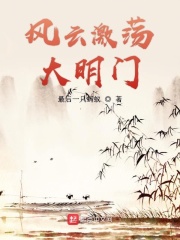 攻二双插头文