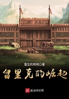白洁传类似书籍