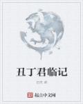 梅花儿香电视剧免费观看全集剧情